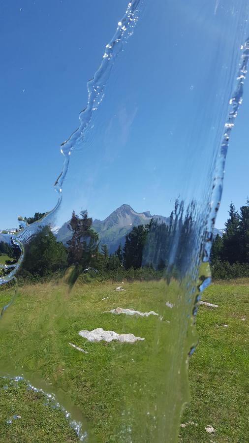 Fewo Lechner Lejlighed Aschau Im Zillertal Eksteriør billede